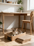 Scratch Pad Lounge Box, 5 Pads