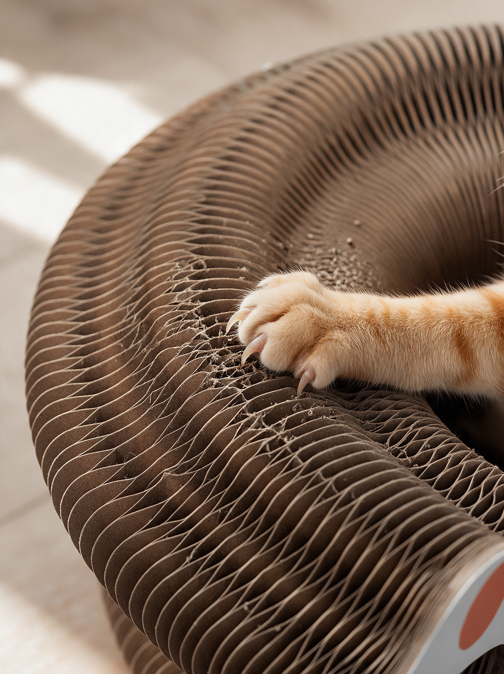 Accordion Ring Scratcher